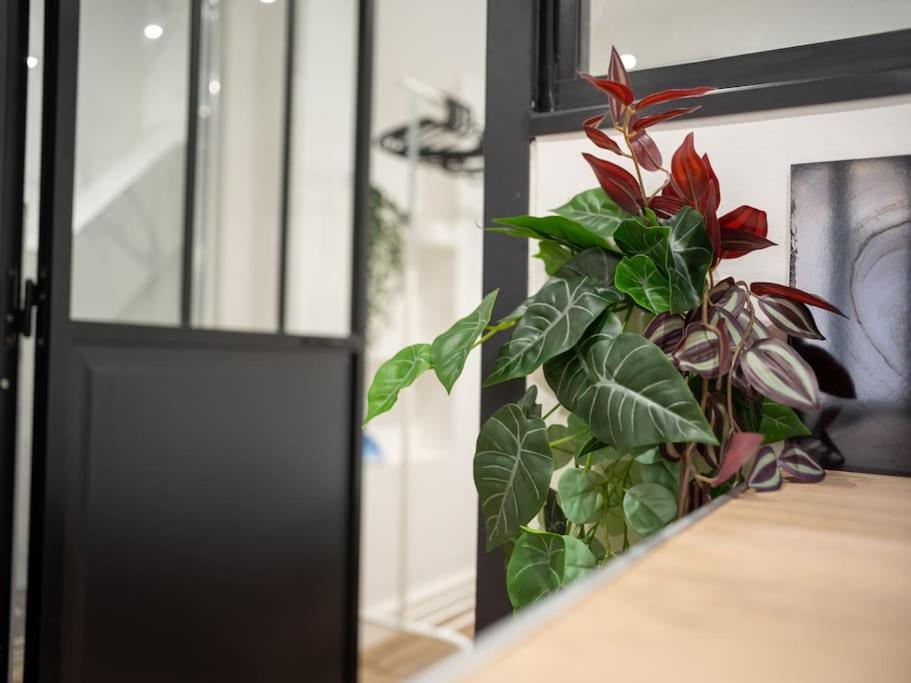 Appartement Tout Equipe Au Coeur Du Panier Vieux Port مارسيليا المظهر الخارجي الصورة